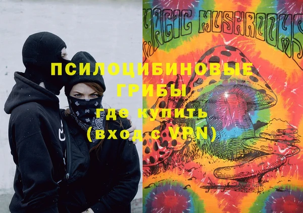 индика Абдулино