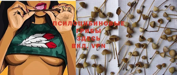 таблы Алексин