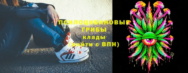 ГАЛЛЮЦИНОГЕННЫЕ ГРИБЫ Алексеевка