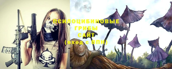 индика Абдулино