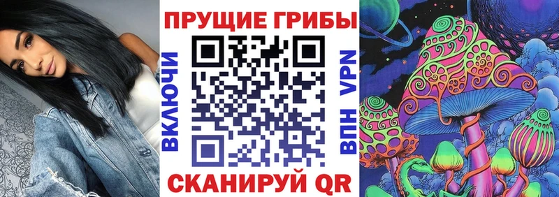 что такое наркотик  Юхнов  даркнет Telegram  Галлюциногенные грибы MAGIC MUSHROOMS 